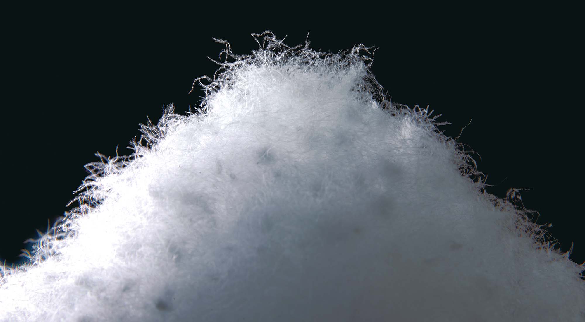 オーロラダウン