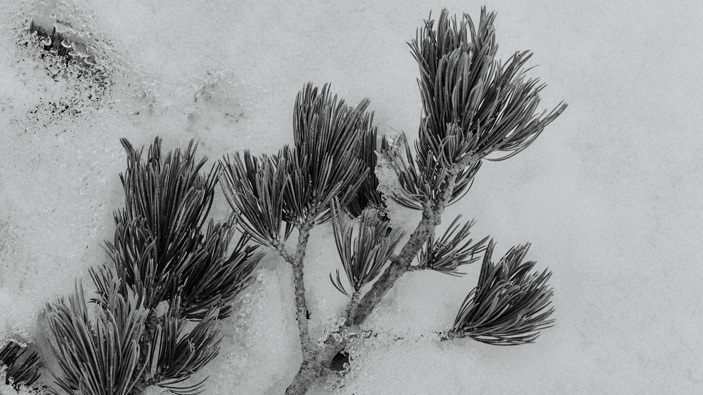 AFTER CARE SLEEPING BAG